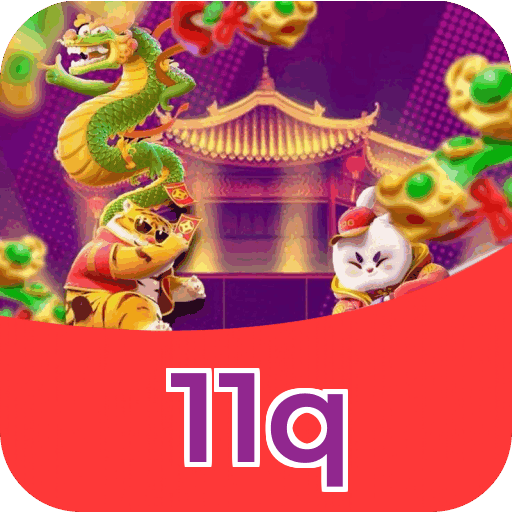 11q